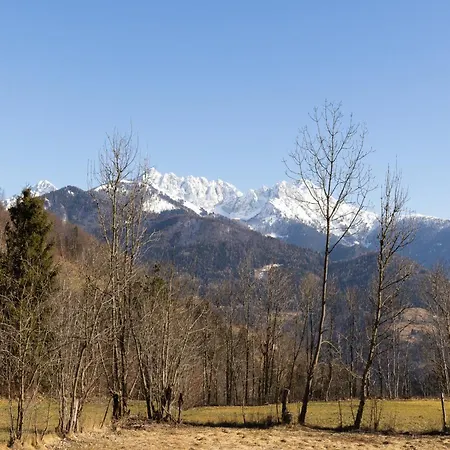 Mountainview - 5min From Area & Trails *